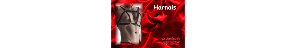 HARNAIS - LA BOUTIQUE DU BDSM