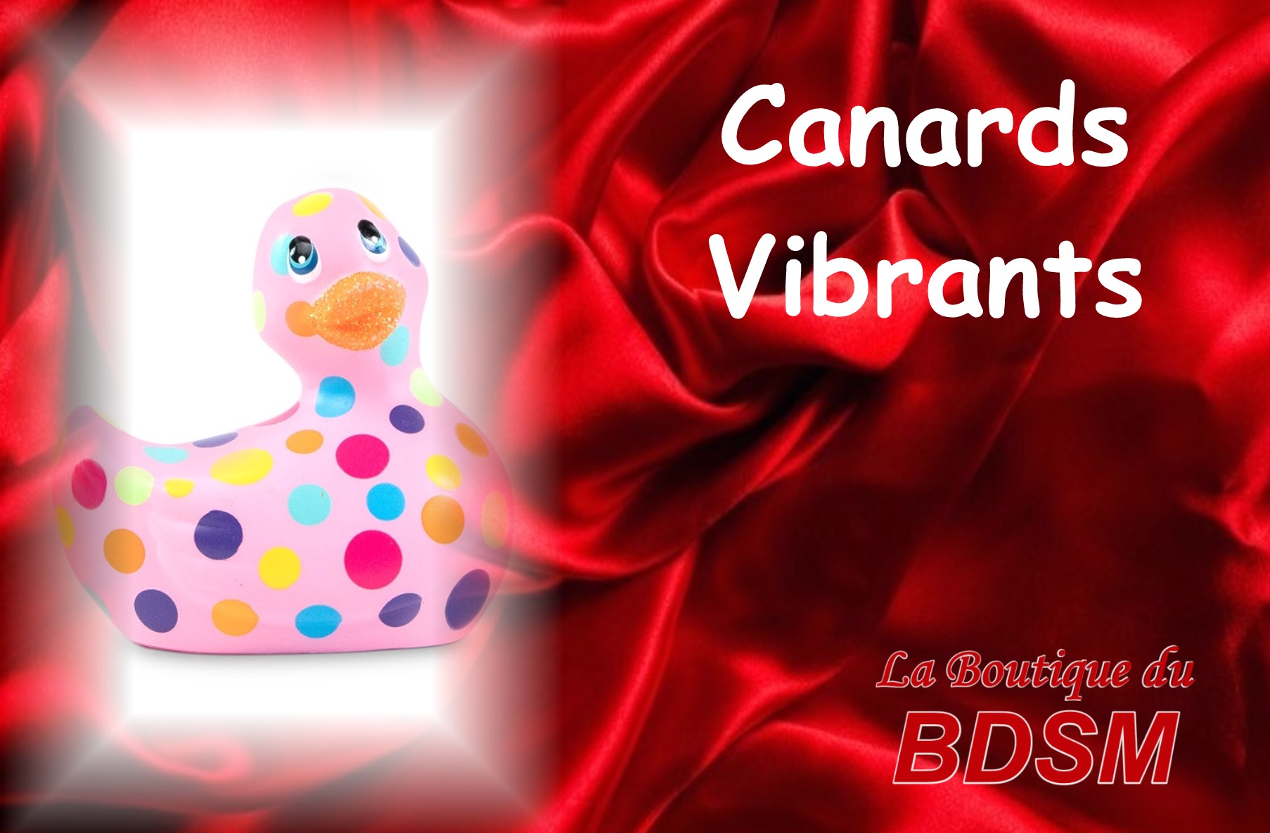 CANARDS VIBRANTS CHABANAIS 16
