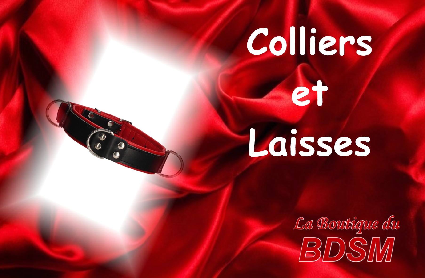 COLLIERS ET LAISSES POUR LE BDSM SAINT-LAURENT-DES-COMBES 16